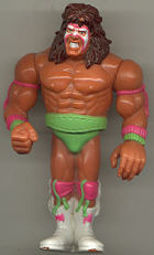 Ultimate Warrior First