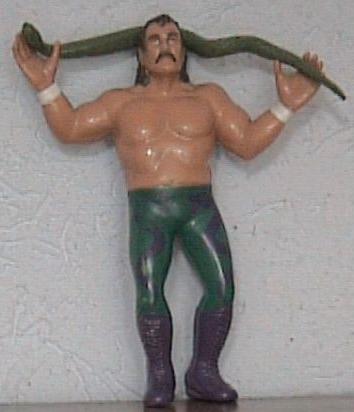 Jake Roberts